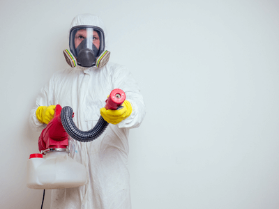 About Pensacola German Roach Pros - german roach extermination pensacola fl experts in Pensacola