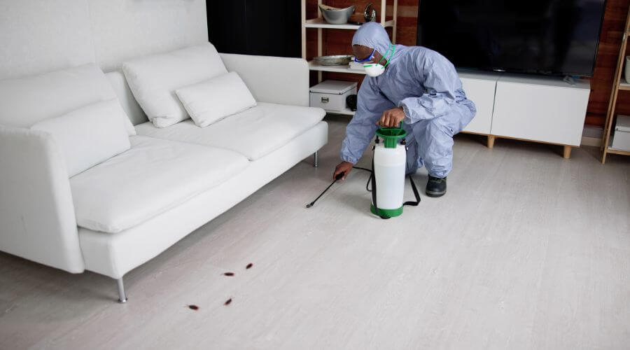 Why choose Pensacola German Roach Pros for german roach extermination pensacola fl in Pensacola